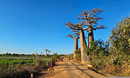Madagaskar